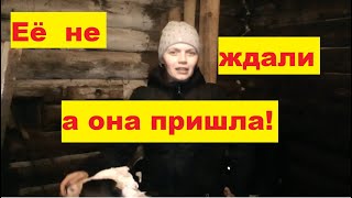 ПРИШЛА ВЕСНА В КРЕЩЕНСКИЕ МОРОЗЫ. ДЕРЕВЕНСКИЕ БУДНИ. ЖИЗНЬ МНОГОДЕТНОЙ СЕМЬИ!