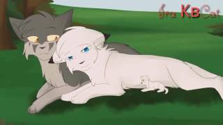 Коты Воители:Но,есть Любовь?: