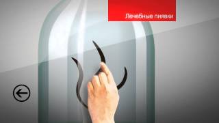 ПИЯВКИ Сеть аптек красоты и здоровья "Добрый Доктор"