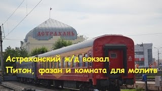 Зоопарк на вокзале, или "вечные" пассажиры в Астрахани