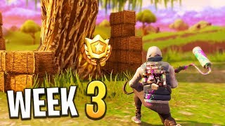 Follow The Treasure Map Found in Salty Springs (Week 3 Challenge) - Fortnite: Battle Royale
