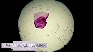 Научные сенсации. Бактерии правят миром. Фильм 2