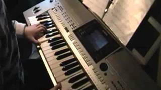 Rot sind die Rosen - Yamaha PSR - S900