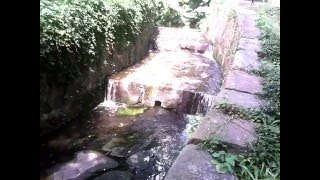 Водопад, речка - Софиевский парк, Софиевка