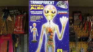 Lindberg Transparent Roswell Alien Figure Model Kit Review