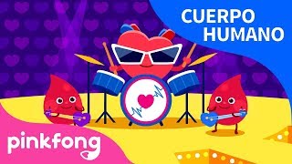 Corazón | Cuerpo Humano | Pinkfong Canciones Infantiles