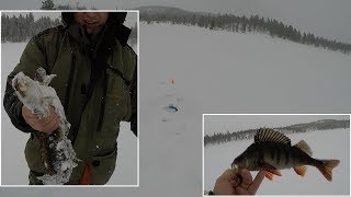 ПОГОДА ПРОТИВ НАС / WEATHER AGAINST US