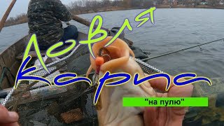 Ловля карпа на "пулю" Закрытие сезона рыбалки 2017
