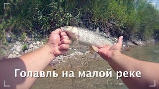 Голавль на малой реке! Воблер Yo-Zuri L-Minnow Рулит!
