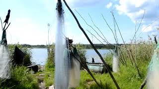 Республика Карелия, Пудожский район, деревня Корбозеро (Стешевская)
