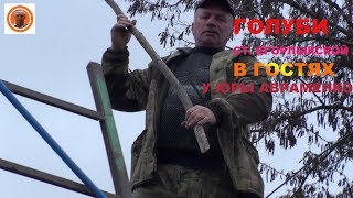 // ГОЛУБИ СТ. ЕГОРЛЫКСКАЯ В ГОСТЯХ У ЮРЫ АВРАМЕНКО! ТЕЛЕФОН +79281287279!