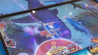 釣りスピリッツ【初！ポイントバージョン②】モンスタークラス登場！ホオジロザメゲット！！