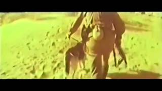 Нас легко по фуражкам узнать