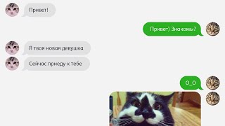 "Неожиданно" КОТОСМС (Серия - 15)
