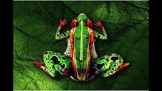 XXX Không ngờ tới - Body painting - Body painting sexy