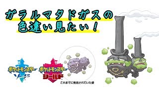 色違い厳選！なぜガラルマタドガスはフェアリータイプなのかわかりますか？#1「ポケモン　シールド」