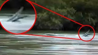 5 Extraterrestrials Caught On Camera & Spotted In Real Life!
