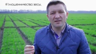 Осторожно, зерно мошенники
