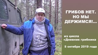 Грибов нет, но мы держимся... Дневник грибника 5 октября 2019 года.