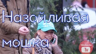Назойливая мошка 1 (розыгрыш) / Noizy Fly (Russian prank)