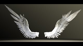 Bird Angel Wings Test