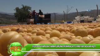 Ege’den yapılan tarım ürünleri ihracatı 5 milyar doları aştı
