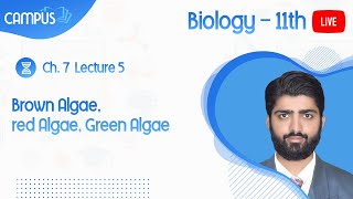 11th Biology Live Lecture 5 Ch. 7 Brown Algae, red Algae, Green Algae