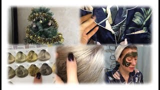VLG/УБРАЛА ЕЛКУ/КРУТЫЕ ВЕЩИ SHEIN/СТОМАТОЛОГ/ОКРАШИВАНИЕ/МАСКА СО СПИРУЛИНОЙ