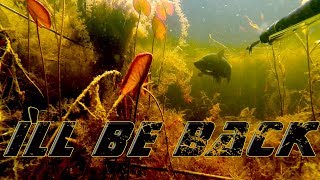 Подводная охота в камыше весной
