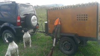 ΚΥΝΗΓΙΑ ΟΡΤΥΚΙΟΥ ΜΕ POINTER  * Hunting Quail *