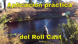 Aplicacion practica roll cast