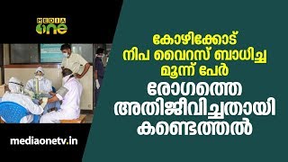കോഴിക്കോട് നിപ വൈറസ് ബാധിച്ച മൂന്ന് പേര്‍ രോഗത്തെ അതിജീവിച്ചതായി കണ്ടെത്തല്‍ | nipah virus