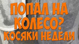 Попал на колесо? Косяки недели. Простой Дальнобой