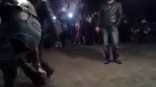 позор чеченке которая не умеет танцевать