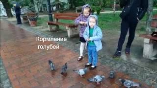 Кормление голубей  Лада и Мира кормят голубей с рук