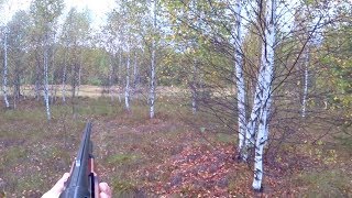 ОХОТИЛСЯ НА УТКУ, НО ПРИЛЕТЕЛ ПРИЯТНЫЙ БОНУС...