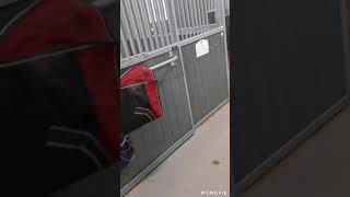 NHF og HHA Steinar Kolnes