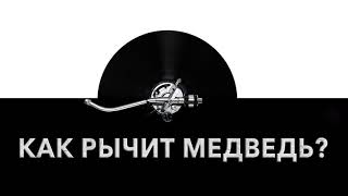 Как рычит медведь? ? Звук рычания медведя и какие звуки издает медведь
