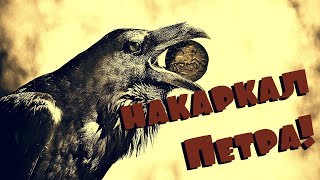 -=ШУРФ=- НАКАРКАЛ ЕЁ ПОД КОНЕЦ СЕЗОНА, НУ ХОТЬ ТАКАЯ !!