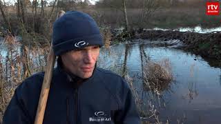 Bevers! | Roeg 30 november 2019