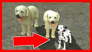 СИМУЛЯТОР СОБАКИ #4 СОБАКА родила ЩЕНКА развлекательное в Dog Sim