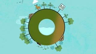 A la découverte du cycle d'une forêt gérée !