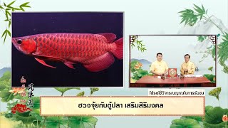 มั่งมีศรีสุข EP.243 (2/3) ฮวงจุ้ยกับตู้ปลาเสริมสิริมงคล