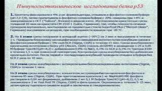 Инновационный наполнитель