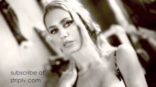 Nicole Aniston - The Good Wife
