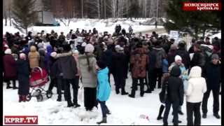 Защита леса объединила жителей Краснообска