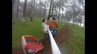 Bosque El Tejocotal Acaxochitlán Hidalgo / Lugares bonitos para visitar