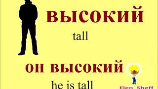 № 10  Базовый русский : ОПИСАНИЕ ВНЕШНОСТИ : высокий, низкий, тонкий, красивый...