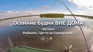 Осенние будни ч.2 Рыбалка. Где-то за Сухолучьем...