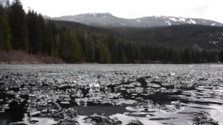 Icy Underwater Shot - Lost Lake Whistler - Work And Travel Canada